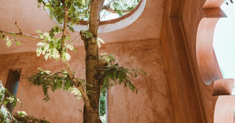 Adaptability - Tree Growing in a Decorative Brown Interior