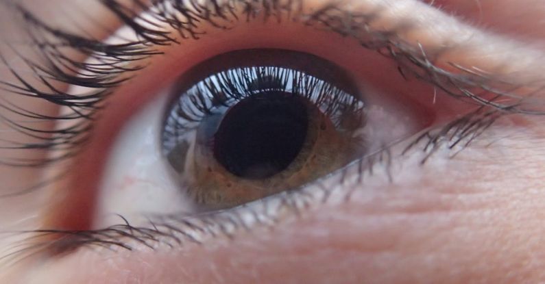 Visualization - Extreme Close-up of Woman Eye